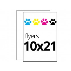 Flyers  10x21 a todo color