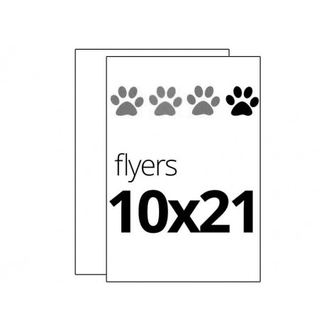 Flyers 1 color 10x21